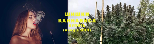 ECSTASY Белокуриха