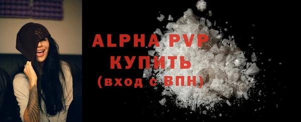 ECSTASY Белокуриха