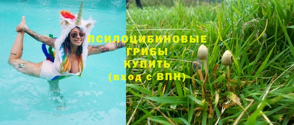 ECSTASY Белокуриха