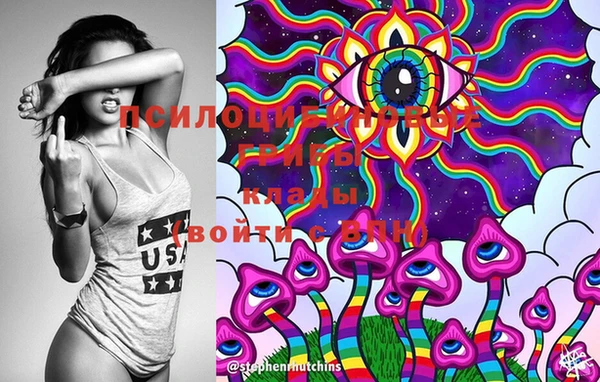 ECSTASY Белокуриха