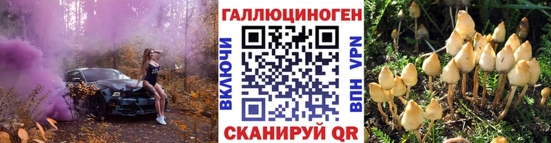 Галлюциногенные грибы Magic Shrooms  Окуловка 